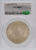 1923 Peace Silver Dollar CAC MS63