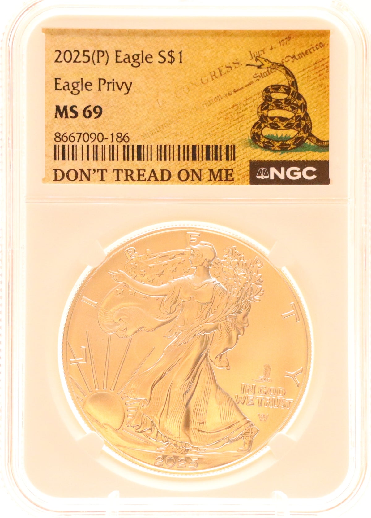 2025 (P) American Silver Eagle - Eagle Privy NGC MS69