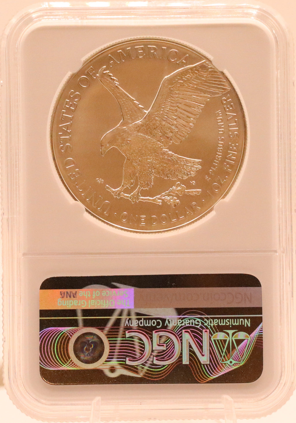 2025 (P) American Silver Eagle - Eagle Privy NGC MS69