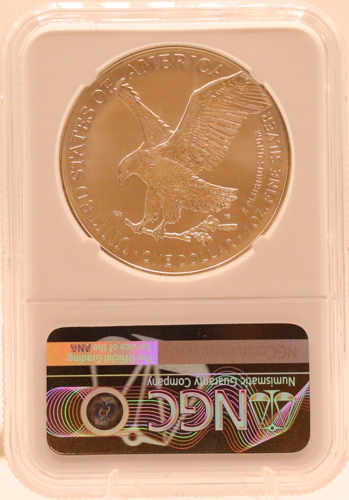2025 (P) American Silver Eagle - Eagle Privy NGC MS69