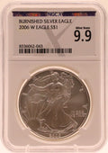 2006-W Burnished Silver Eagle NGCX 9.9