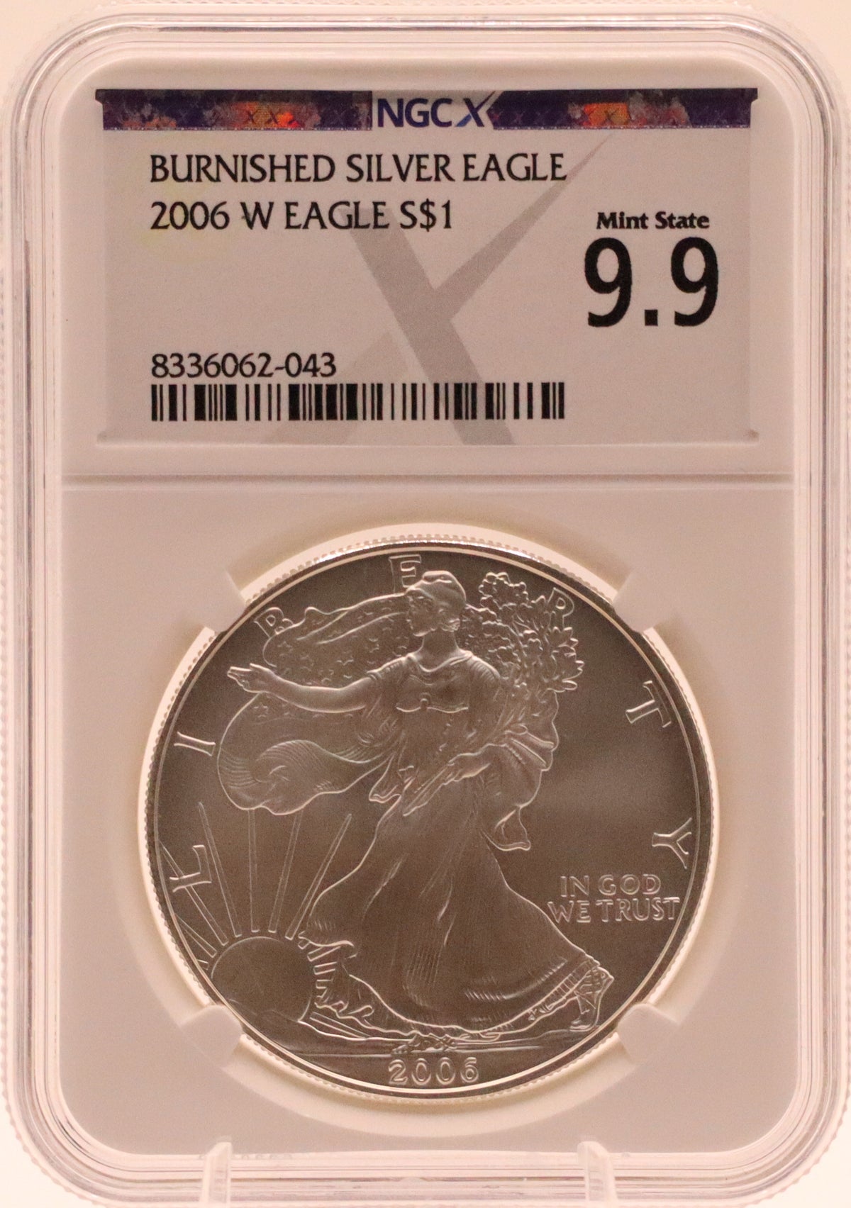 2006-W Burnished Silver Eagle NGCX 9.9